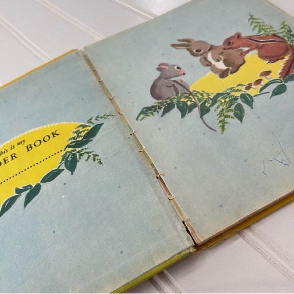 Vintage Rare Interesting Children’s Books Lot of Two - Picture 6 of 16